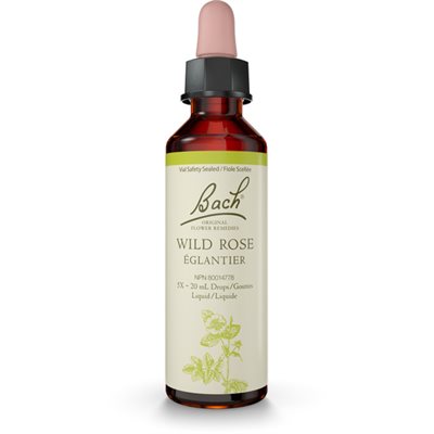 Bach Rosier sauvage 20ml 