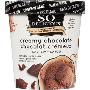 So Delicious Dairy Free Non-Dairy Frozen Dessert Creamy Chocolate Cashew