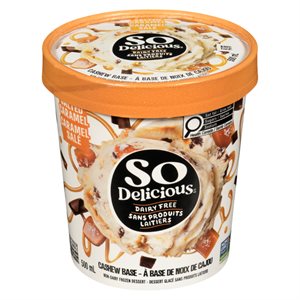 So Delicious Vegan Frozen Dessert Salted Caramel Cluster Cashew 
