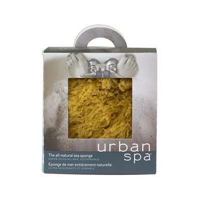 Body Sea Sponge 1un