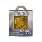 Body Sea Sponge 1un