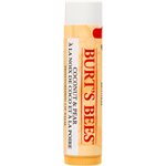 Burt's Bees Baume pour les Lévres Poire et Noix de Coco 4,25g