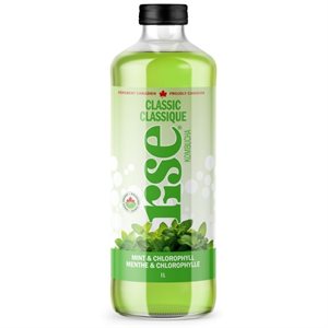 Rise Kombucha Bio Menthe Clorophylle 1L