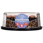 Ange Gardien Gâteau au Chocolat Passion 600 g