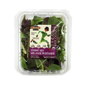 Classic Salads Organic Spring Mix 1 Pack