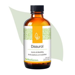 Holizen Dissurol 250Ml