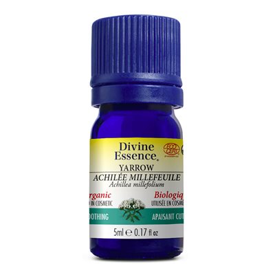 huile essentielle achillée millefeuille bio huile essentielle achillée millefeuille bio