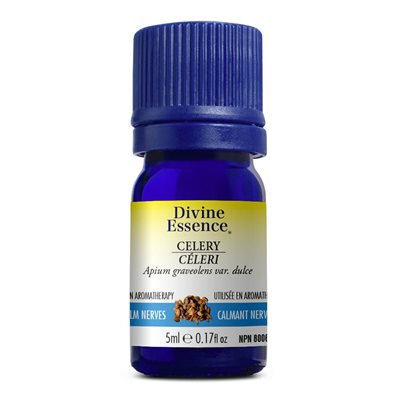 Celery essential oil 