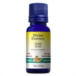 Elemi essential oil