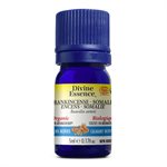 Frankincense - Somalia essential oil 5 ml e