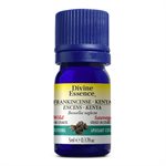 Frankincense Neglecta essential oil