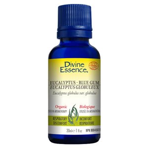 Eucalyptus Blue Gum essential oil 