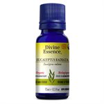 Divine Essence Eucalyptus Radiata Organic Essential Oil 15ml