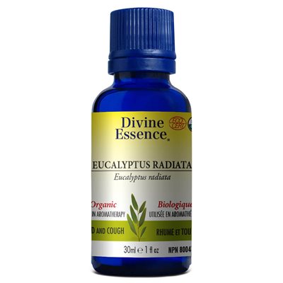 Eucalyptus Radiata essential oil 