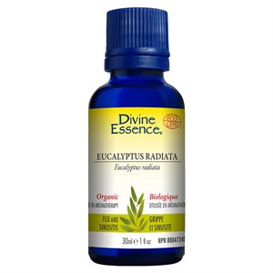 Eucalyptus Radiata essential oil 