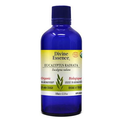 huile essentielle d'Eucalyptus Radiata