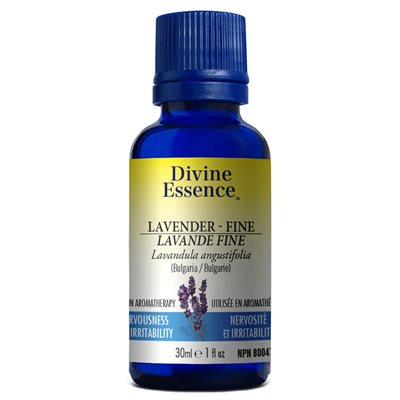 Lavender fine essential oil 