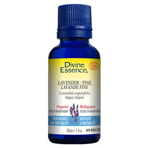 Lavender fine essential oil 