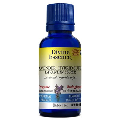 huile essentiel lavandin super bio huile essentiel lavandin super bio
