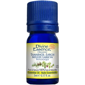 Larch Tamarack essential oil
