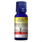 Rosemary - Camphor Type Essential Oil 