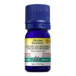 Divine Essence Thym Satureioides Huile Essentielle Biologique 5ml