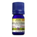 Thyme Red - Thymol Essential Oil 