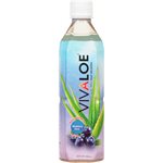 VIVALOE BLEUET 500ML