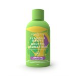 Vital Zing Goutes Aromatisees Citron Vert 45Ml