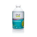 Pur-Santé Chlorophyll (concentrated) 500ml