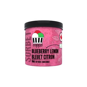 Coppa Blueberry Lemon Sorbet 500mL