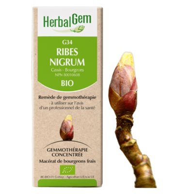 Ribes nigrum 50 ml