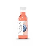 Tonica Kombucha Brut Bleuet Bio 370ml